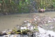 Akibat Pintu Air Tandon Di Buka Sampah-sampah Mengalir Di Saluran Pembuangan Air Besar Perumahan Binong Permai